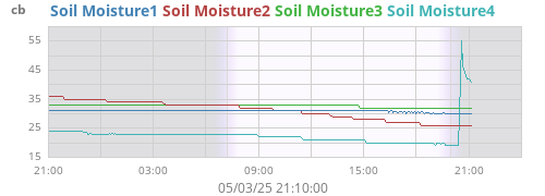 daymoistsoil